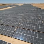 CW Enerji’den Karbon Nötr Hedefine Güçlü Destek